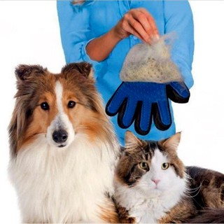 ภาพขนาดย่อของภาพหน้าปกสินค้าThai.Th ถุงมือแปรงขน. กำจัดขนสัตว์เลียง หวีขนหมาและขนแมว ถุงมือหวีขน True Touch Pet the hair CL-01(มีราคาส่ง) จากร้าน zzxr1982 บน Shopee ภาพที่ 7