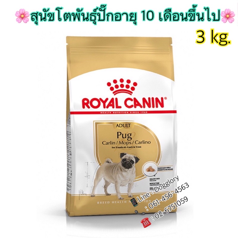 royal-canin-pug-adult-ขนาด-3-kg-อาหารเม็ดสูตร-สุนัขโตพันธุ์ปั๊ก-อายุ10เดือนขึ้นไป-ปั๊ก-ปั๊กโต