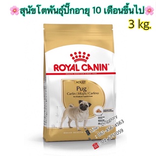 Royal canin : Pug Adult ขนาด 3 kg. อาหารเม็ดสูตร สุนัขโตพันธุ์ปั๊ก อายุ10เดือนขึ้นไป ปั๊ก ปั๊กโต
