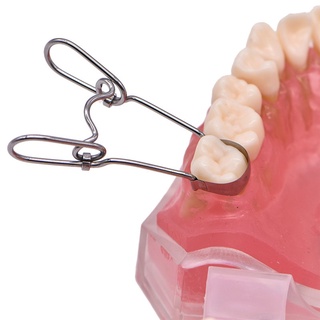 【ddydental】1330 เครื่องมือทันตกรรม Matrix