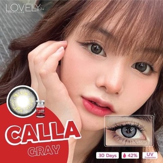 (บิ๊กอาย ตาโต ) Calla Gray - Lovelylens บิ๊กอาย สายแบ๊ว คอนแทคเลนส์ ตาโต สีเทา เน้นตาโต เซ็กซี่ รุ่นใหม่ สวยมากค่ะ