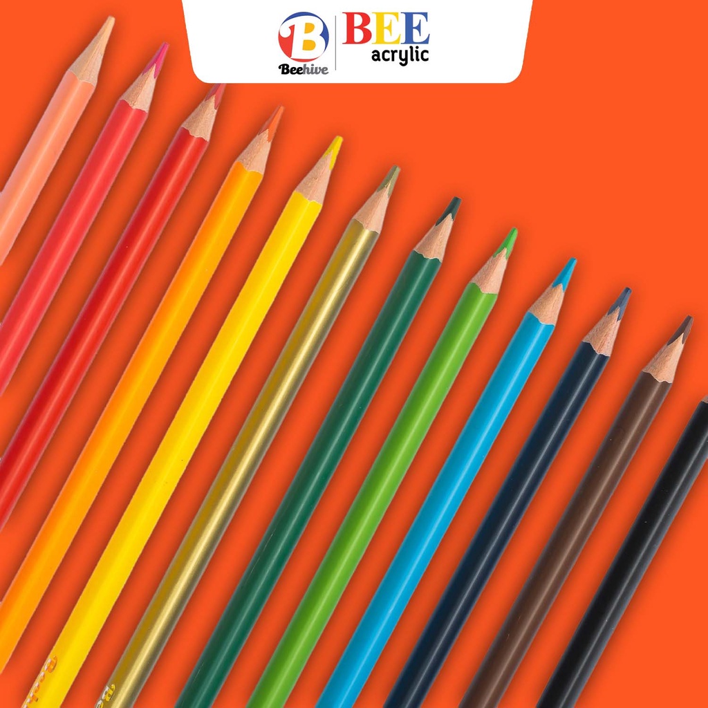 สีไม้-ดินสอสี-beehive-แท่งยาว-สดเข้ม-ระบายง่าย