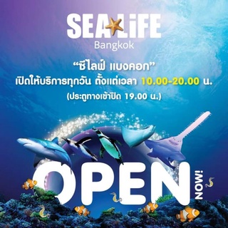 ภาพหน้าปกสินค้า[e-ticket] Sea life Ocean World ซีไลฟ์โอเชี่ยนเวิลด์ sealife ใครใช้ด่วนทักมานะคะ ที่เกี่ยวข้อง