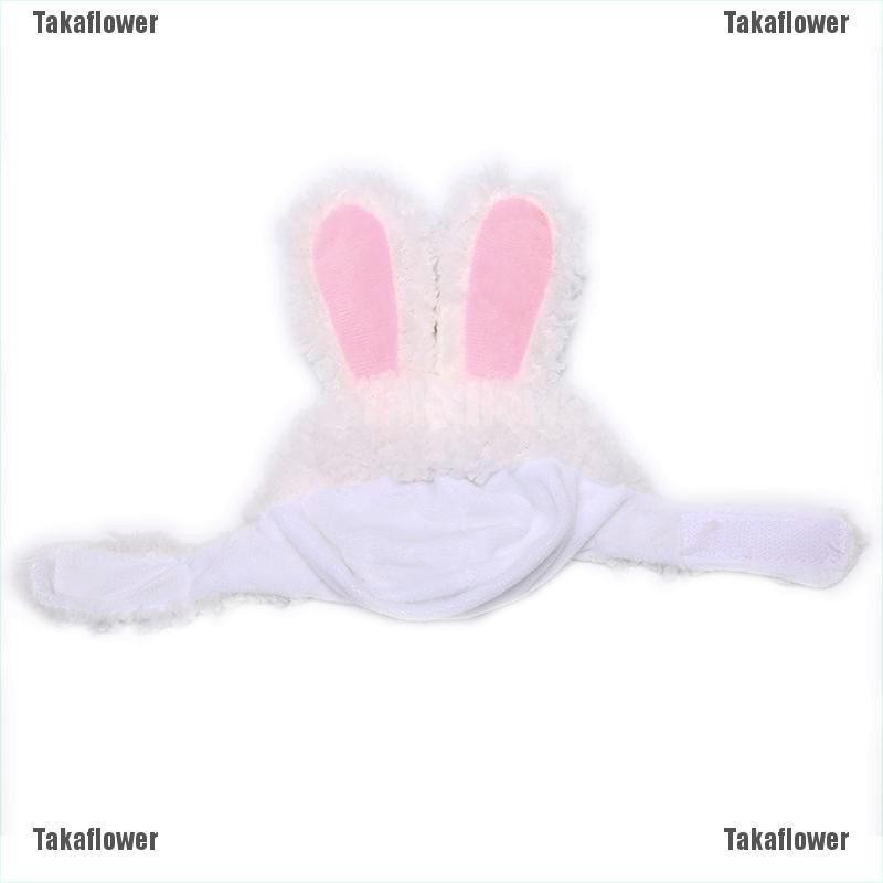 ภาพหน้าปกสินค้าชุดคอสเพลย์ สําหรับสัตว์เลี้ยง กระต่าย จากร้าน takaflower.th บน Shopee