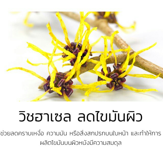 เซรั่มหน้าเรียว-zhe-lifting-serum-d18