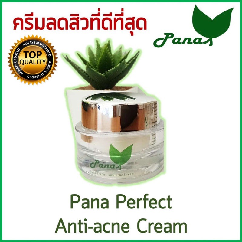 ดีที่สุด-ครีมลดสิว-pana-perfect-anti-acne-cream