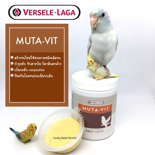 ภาพหน้าปกสินค้าแบ่งบรรจุ ฟรีช้อนตวง !! MUTA-VIT วิตามินบำรุงขน บำรุงตับ ขับสารพิษ มูต้าวิท วิตามินสำหรับนกแก้ว ที่เกี่ยวข้อง