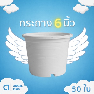 กระถาง
กะถางต้นไม้
กระถางปลูกต้นไม้ กระถางขาว สีขาว 6 นิ้ว 50 ใบ