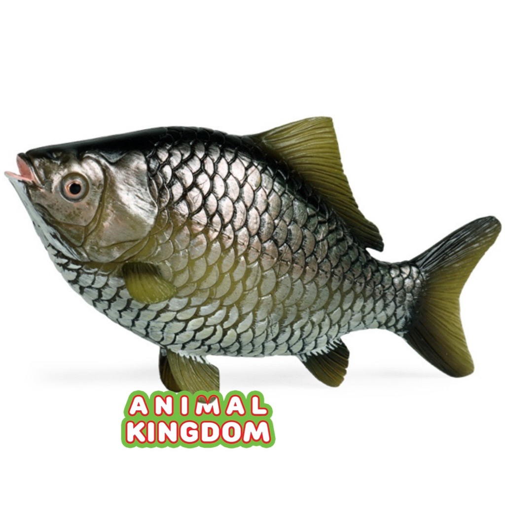 animal-kingdom-โมเดลสัตว์-ปลาตะเพียน-ขนาด-17-00-cm-จากสงขลา