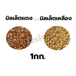 มิลเล็ตแดง เหลือง  Red  yellow Millet เกรดA ไร้ฝุ่น (แบ่งขาย 1kg.) อาหารนก