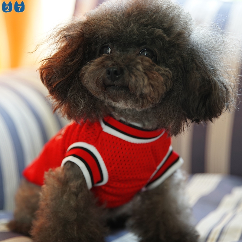 ภาพหน้าปกสินค้าNew Pet Dog Clothes Summer Sports Dog Vests Mesh Pet Dog Basketball Team Uniform Shirts for Chihuahua size XXS-L Pet Products จากร้าน flyjellyfish.th บน Shopee
