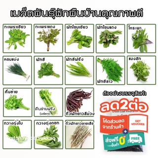 ภาพหน้าปกสินค้า🌱เมล็ดพันธุ์ ผักใบ 500 เมล็ด 10 บาท พันธุ์พื้นบ้าน 📌งอกดีมีคู่มือการปลูก [10 แถม 1 คละ] / เมล็ดพันธุ์ผัก ผักสวนครัว ที่เกี่ยวข้อง