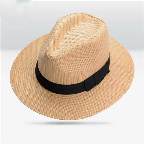 ภาพหน้าปกสินค้าหมวกผู้ชายทรงปานามาสีพื้นใส่เบาสบาย สามารถใส่ได้ทั้งหญิงและชาย.​B069 จากร้าน fashionhat บน Shopee