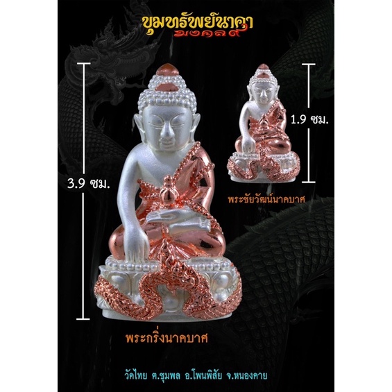 พระชัยวัฒน์นาคบาศ-เนื้อทองชมพู-วัดไทย-อ-โพนพิสัย-จ-หนองคาย