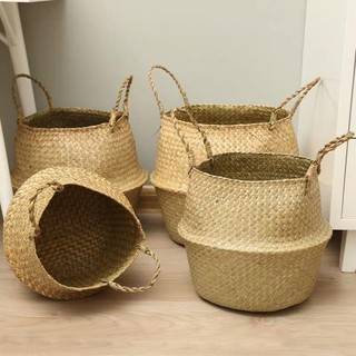 ตะกร้าสาน : Collection of plant baskets