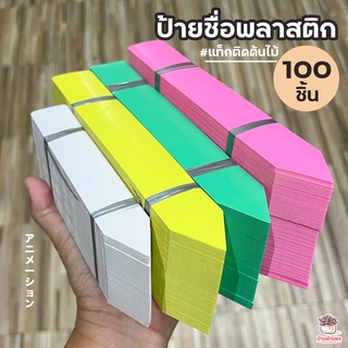 ( 100 ชิ้น ) ป้ายชื่อพลาสติก ป้ายชื่อต้นไม้ 15 x 2.5 ซม. 20 x 3 ซม. ป้ายแท็ก แท็กติดต้นไม้