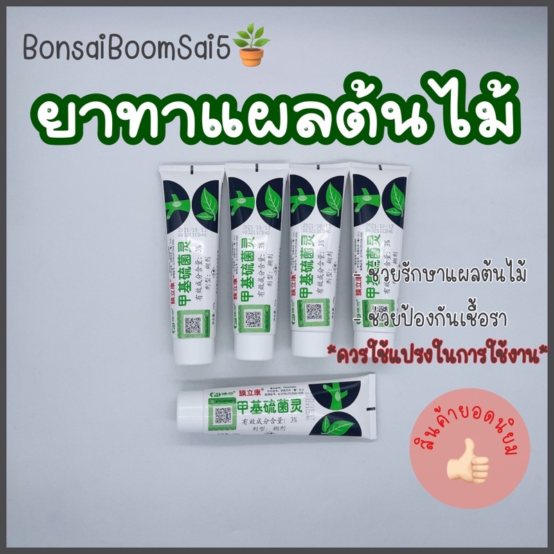 พร้อมส่งจากไทย-ยาทาแผลบอนไซ-ยาทาแผลต้นไม้-150g