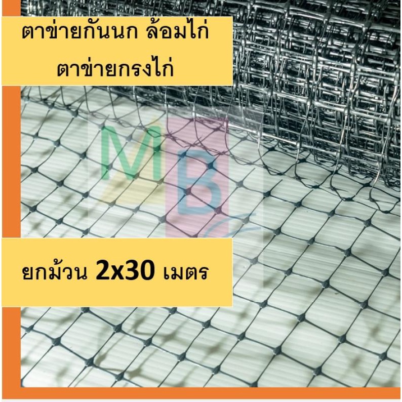 ตาข่ายเอ็นล้อมไก่-สีดำ-2x30-เมตร-ตาข่ายกันนก-ตาข่ายกรงไก่-ตาข่ายล้อมไก่-ล้อมไก่-ตาข่ายพลาสติก-ตาข่ายรั้วไก่