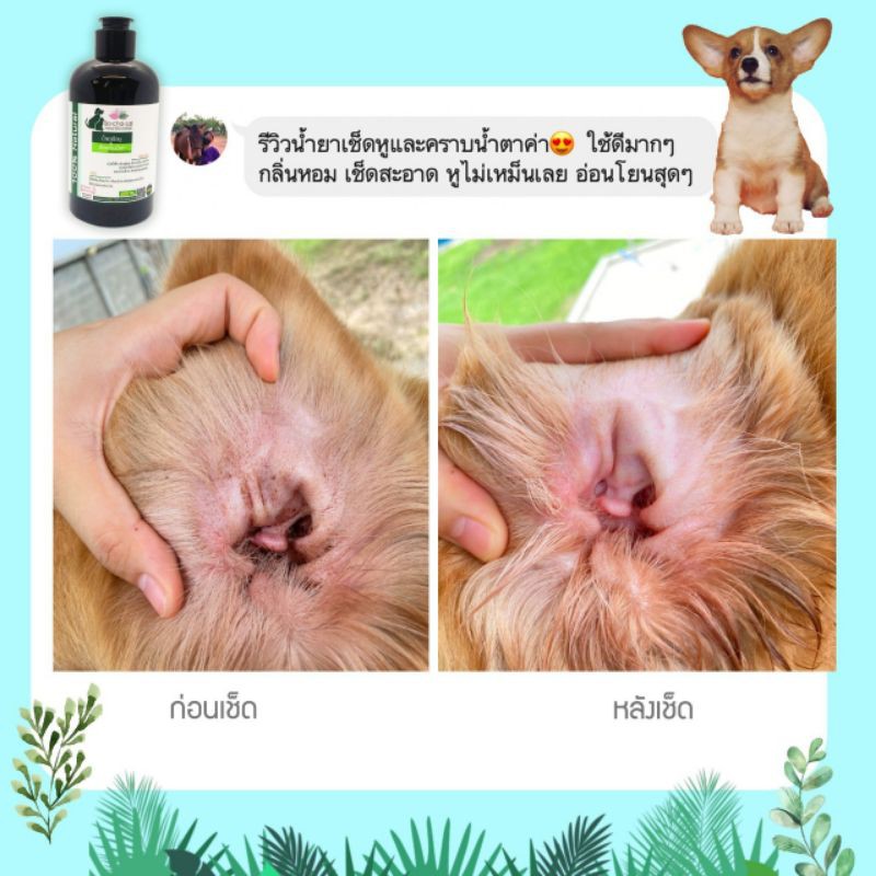 ภาพหน้าปกสินค้าน้ำยาเช็ดคราบน้ำตา&เช็ดหู สุนัขและแมว Nature plus สูตรหมอเอ๋ จากร้าน natureplus_789 บน Shopee