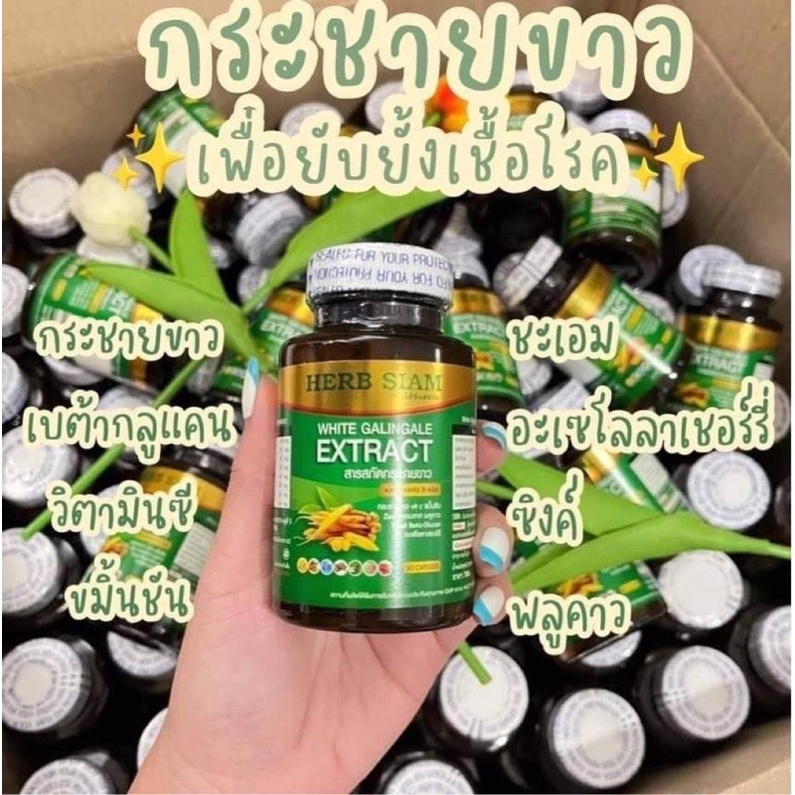 สารสกัดกระชายขาวช่วยเสริมภูมิต้านทานไวรัส-บรรจุ-30-แคปซูลและ-30แคปซูล