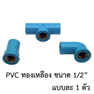 อุปกรณ์พีวีซี ทองเหลือง เกลียวในทองเหลือง ขนาด1/2"(4หุน) คละแบบ(อย่างละ1ตัว)