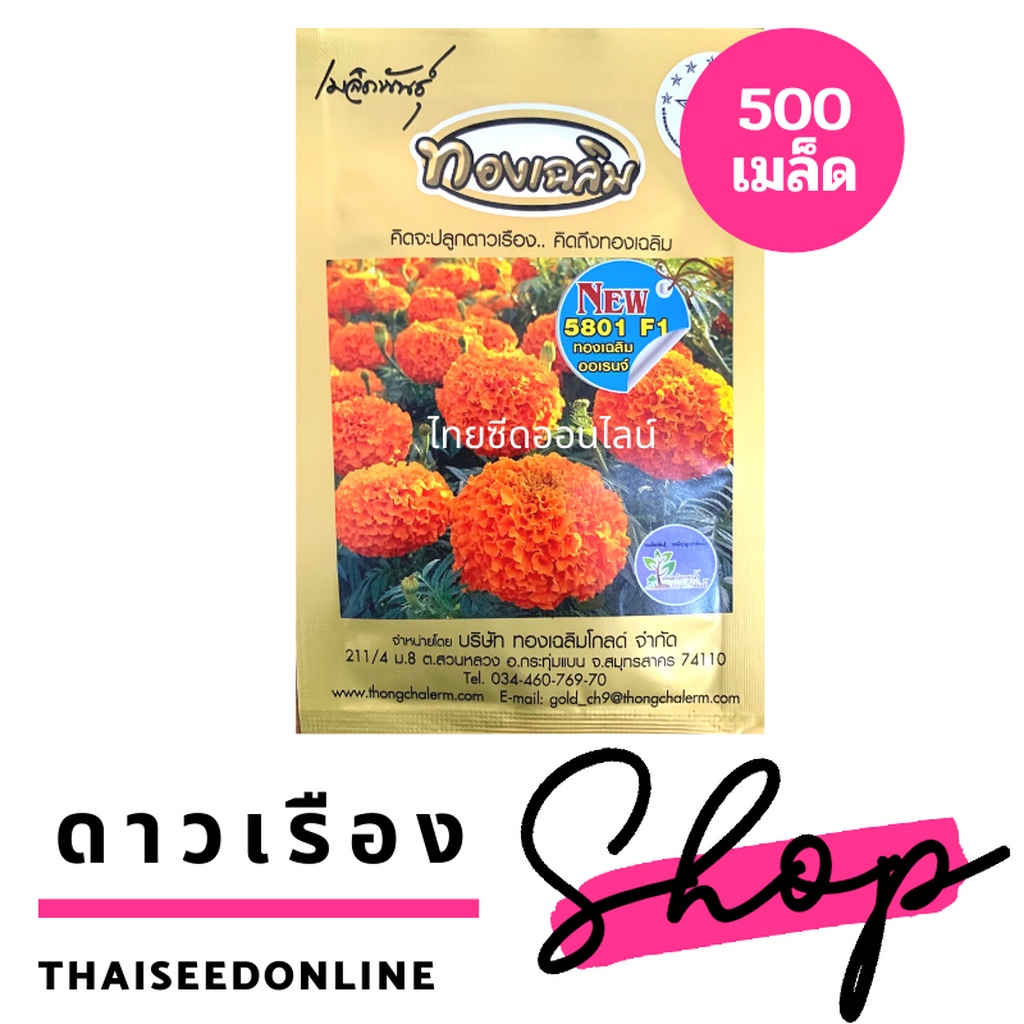 ภาพหน้าปกสินค้าใหม่ล่าสุด  เมล็ดพันธุ์ ดาวเรืองทองเฉลิม 5801 สีส้มจัด 500 เมล็ด จากร้าน thaiseedonline บน Shopee