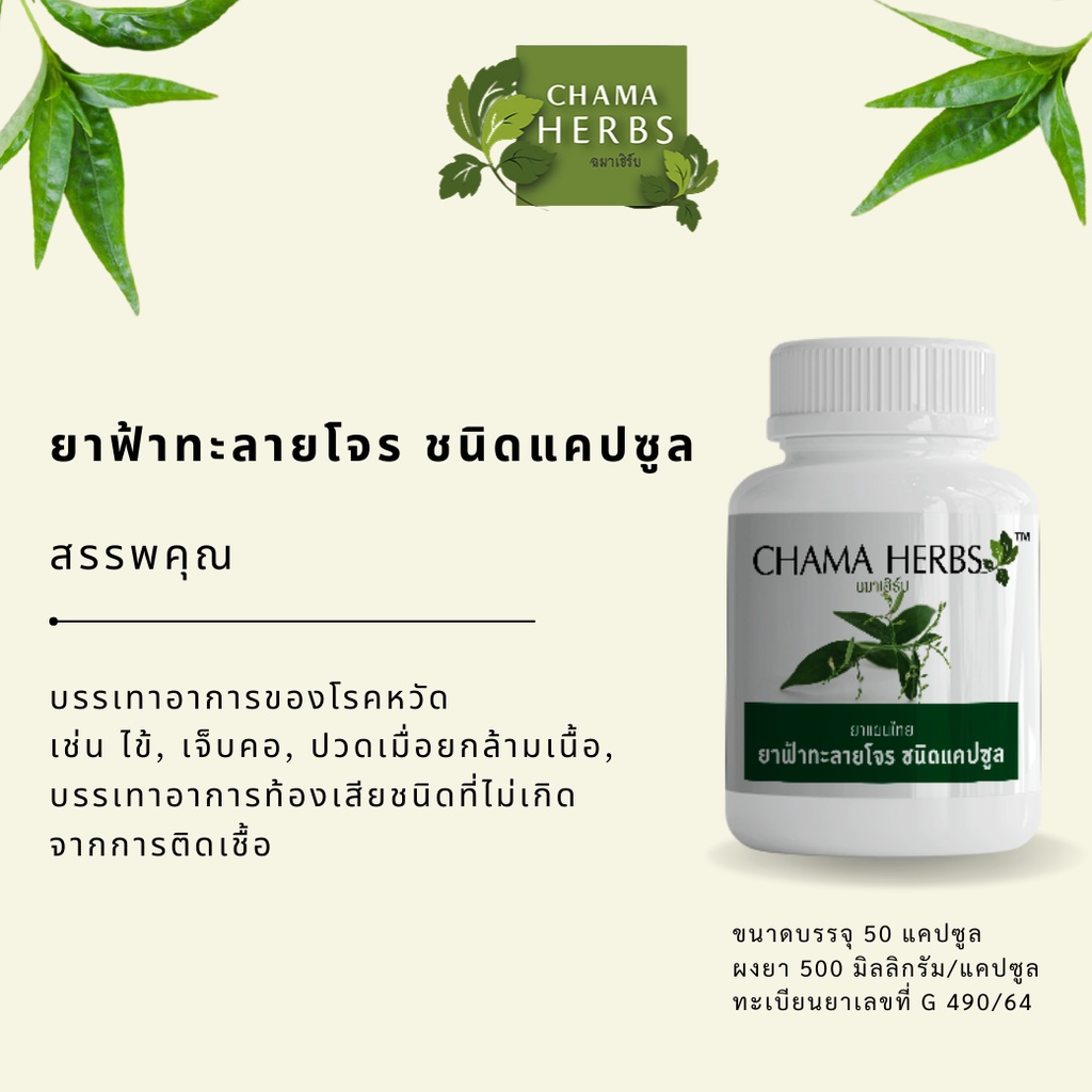 chama-herbs-ฟ้าทะลายโจร-50caps-500mg-ผลิตภัณฑ์สมุนไพรขายทั่วไป-แพ็ค-2-กระปุก