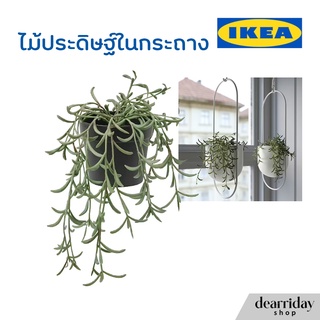 IKEA ไม้ประดิษฐ์ในกระถาง ต้นไม้ปลอม ต้นไม้ประดับ ไม้ดอกไม้ประดับ FEJKA เฟคก้า