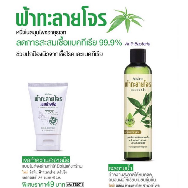 เจลอาบน้ำ-ฟ้าทะลายโจร-ชาวเวอร์-เจล-240-มล-mistine-shower-gel-240-ml-เจลอาบน้ำฟ้าทะลายโจร-เจลอาบน้ำ-ครีมอาบน้ำ