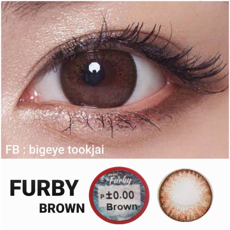 pitchylens-mini-furby-trio-brown-gray-black-contactlens-บิ๊กอาย-คอนแทคเลนส์-ราคาถูก-แถมตลับฟรี