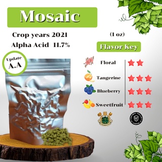 สินค้า Mosaic Hops (1oz) Crop years 2021 (บรรจุด้วยระบบสูญญากาศ)
