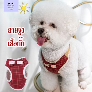 ภาพหน้าปกสินค้าBella🔥พร้อมส่งในไทย🔥🐶สายรัดอกสุนัขพันธุ์เล็ก ที่รัดอกสุนัขพันธุ์เล็กลายโบว์🐶 (รวมสายจูง) ซึ่งคุณอาจชอบสินค้านี้