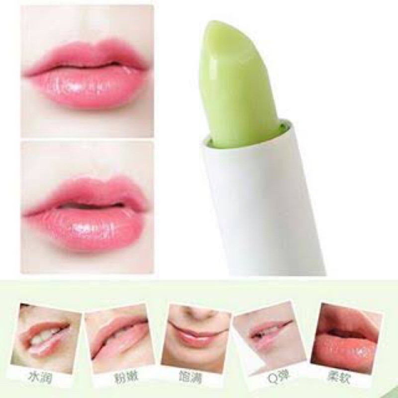 ขายยกกล่อง12ชิ้นนะคะ-ลิปสติก-ว่านหางจระเข้-aishali-aloe-vera-99-lip