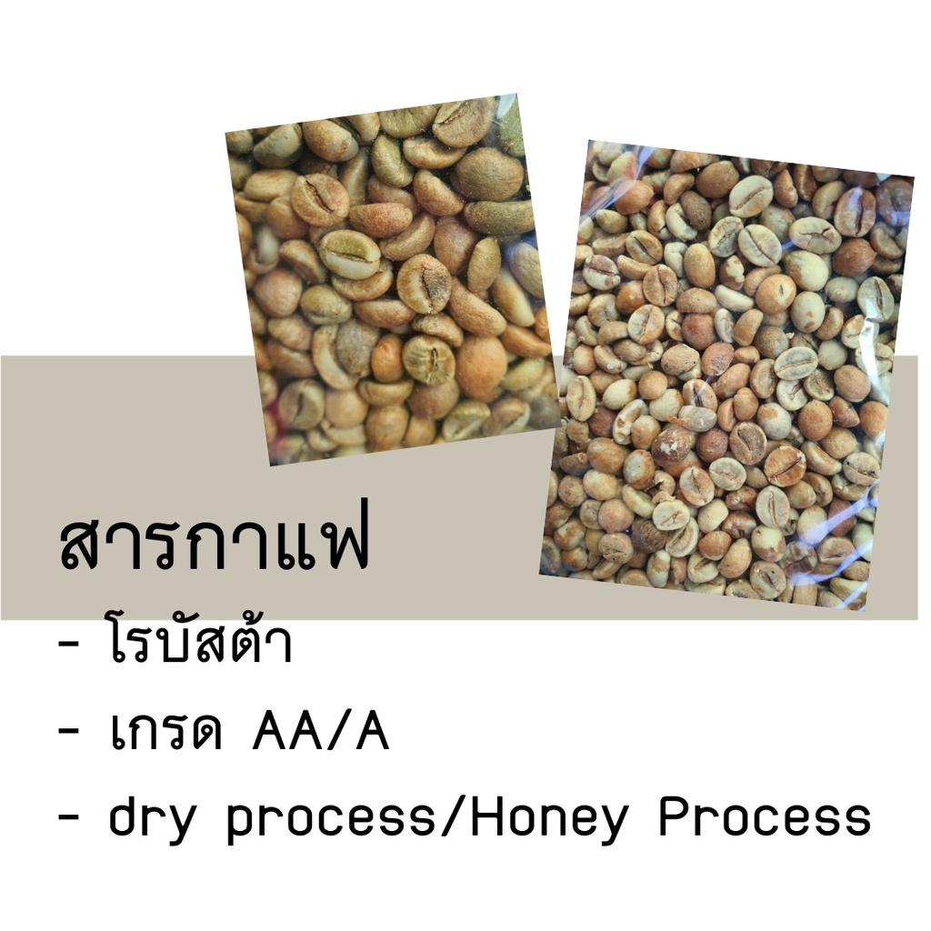 สารกาแฟ-โรบัสต้า-fine-robusta-coffee-beans-กาแฟกลางเขา-กาแฟทองผาภูมิ-1-กก