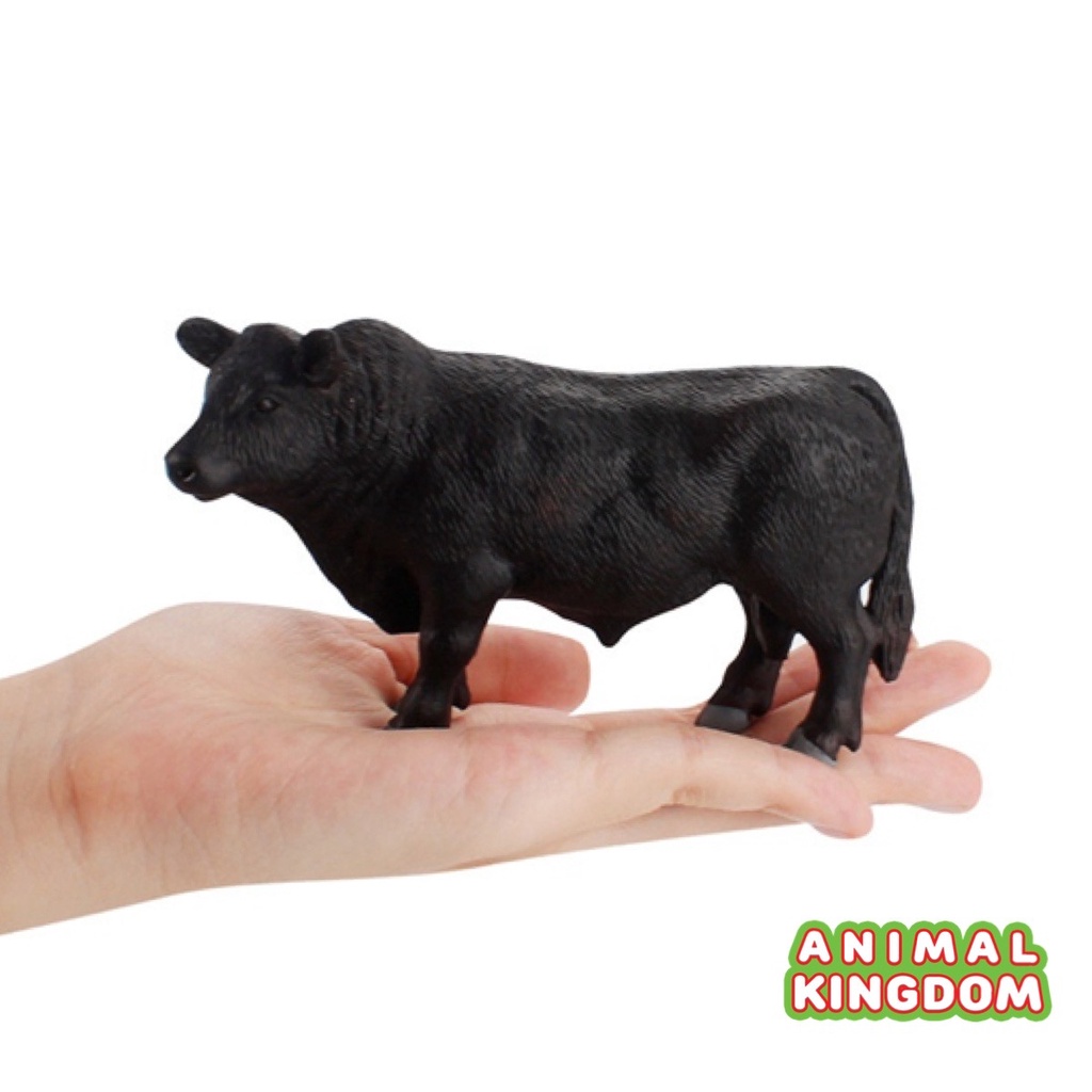 animal-kingdom-โมเดลสัตว์-วัวแองกัส-ขนาด-14-50-cm-จากหาดใหญ่