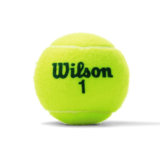 ภาพขนาดย่อของภาพหน้าปกสินค้าลูกเทนนิส WILSON US OPEN GREEN TOURNAMENT TENNIS BALL (กระป๋องละ 3 ลูก) สำหรับซ้อมและแข่งขัน DUNLOP Fort RS Sportsmaax จากร้าน peerapitchwatson บน Shopee