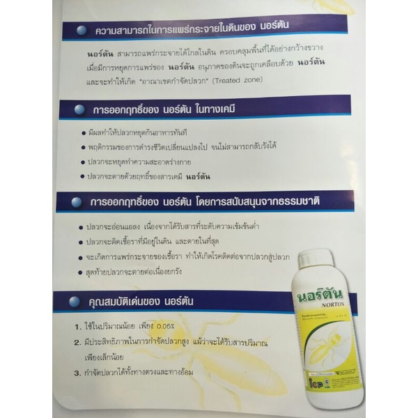 นอร์ตัน-norton-ผลิตภัณฑ์กำจัดปลวกขนาด-1-ลิตร