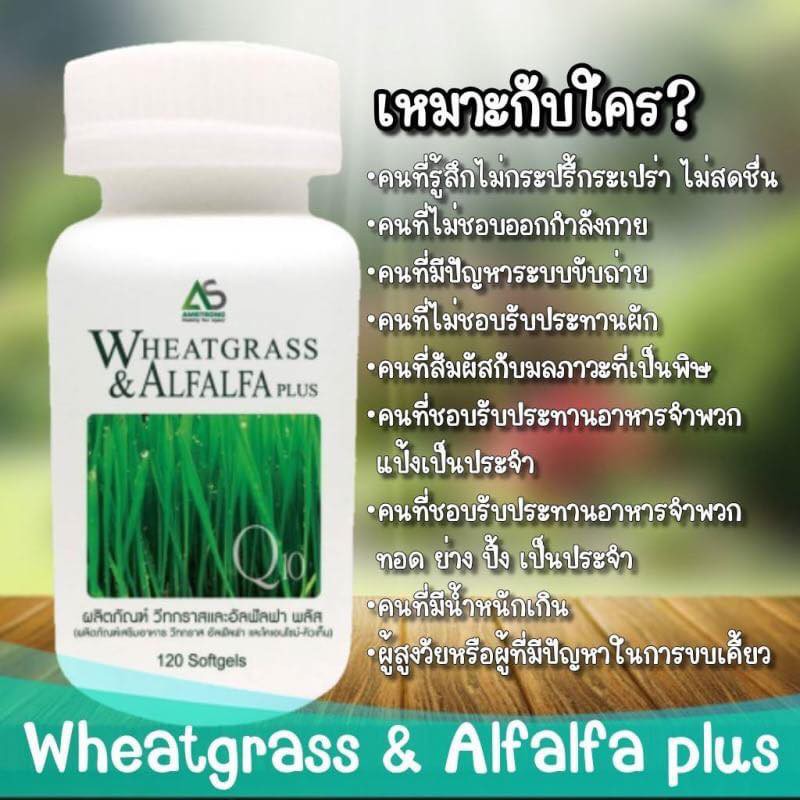 ผักเม็ด-wheatgrass-and-alfalfa-plus-สูตรดั้งเดิม-ของแท้100-amstrong