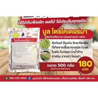 บูลไตรโคเดอร์มา 500g. เชื้อราไตรโคเดอร์มา ชีวภัณฑ์ ป้องกัน และ รักษาโรคพืช ที่เกิดจากเชื้อราทุกชนิด รากเน่าโคนเน่า