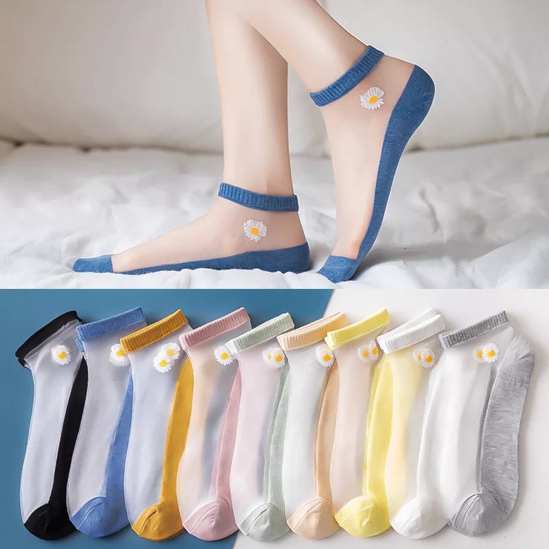 รูปภาพสินค้าแรกของถุงเท้า ถุงเท้าเดซี่ซีทรู ถุงเท้าข้อสั้น ( 1ถุง10คู่/10สี ) ถุงเท้าแฟชั่น น่ารักสไตล์เกาหลี