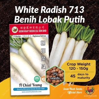 Benih Lobak Putih 713 White Radish Seeds [75 seeds/37,000 seeds] หัวผักกาดขาวเมล็ด Soon Huat seeds裙子/儿童/上衣/花园/通心菜/生菜/木瓜/