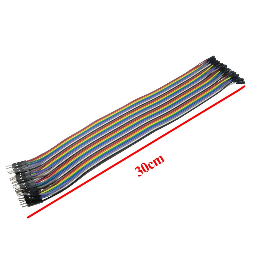 40pcs-30cm-dupont-cable-30cm-2-54mm-1pin-1p-1p-female-to-male-jumper-wire