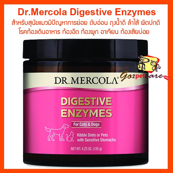 Mercola digestive enzymes best sale dog