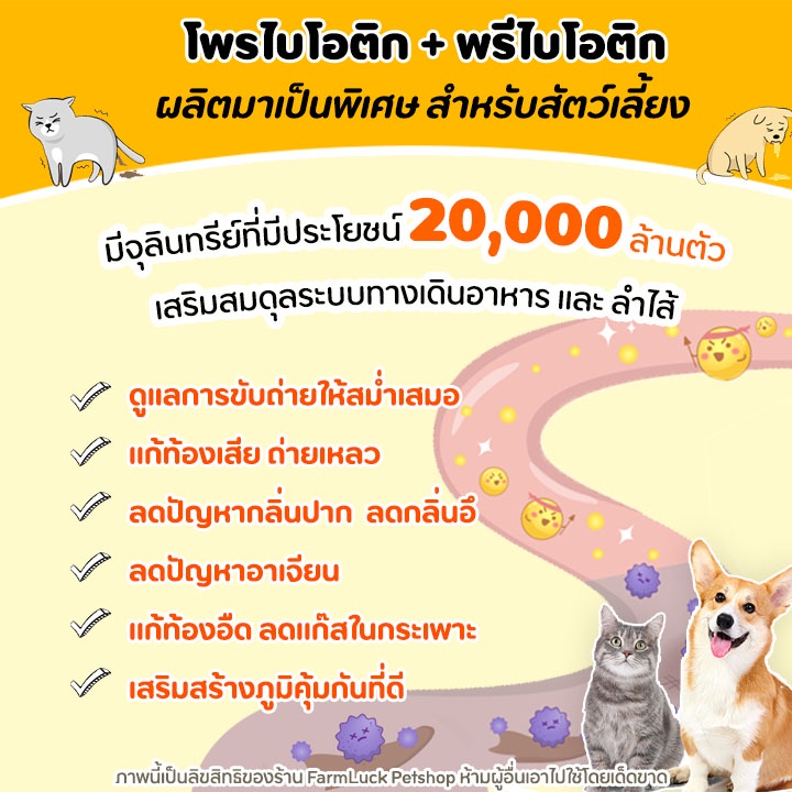 เห็นผลใน7วัน-โพรไบโอติก-สุนัขและแมว-แก้ท้องเสีย-ท้องผูก-ท้องอืด-ลำไส้อักเสบเรื้อรัง-ระบบย่อยมีปัญหา-gut-booster