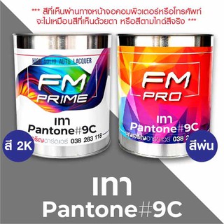 สี PANTONE 9C เทา PMS Pantone Grey 9C (ราคาต่อลิตร)