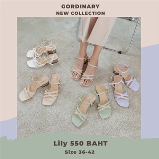 Gordinary Lily size 36-42 มีไซส์ชาร์ตนะคะ📍