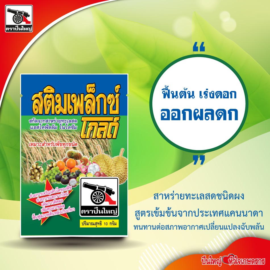 สติมเพล็กซ์-โกลด์ขนาด-10-กรัม-สาหร่ายทะเลสะกัดสด-ฮอร์โมนอาหารเสริมพืช