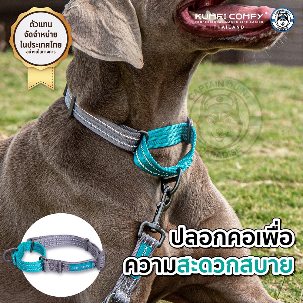 ปลอกคอสุนัข-lightweight-collar-kumfi-comfy-จากตัวแทนจำหน่ายอย่างเป็นทางการ-เจ้าเดียวในประเทศไทย