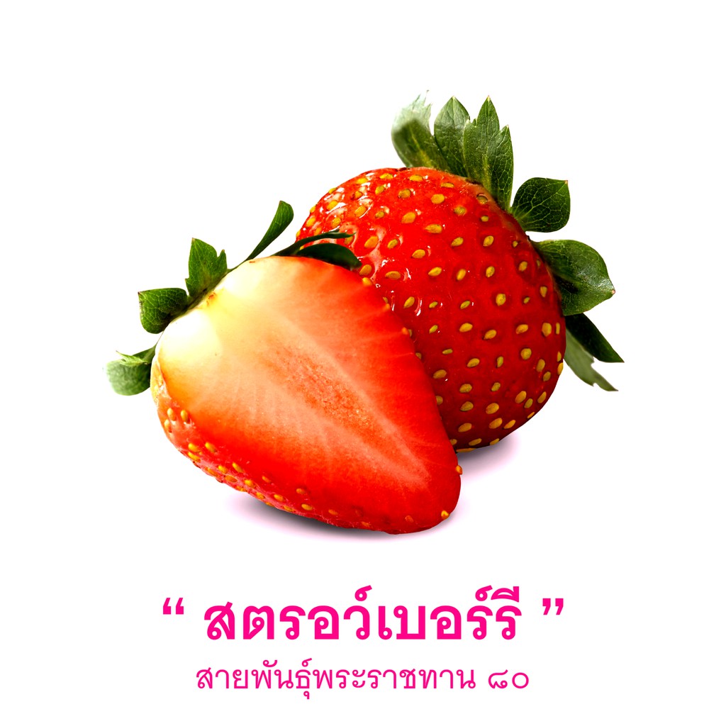 ดอยคำ-สตรอว์เบอร์รี่อบแห้ง-140g-คัดสรรสตอเบอรี่สดผลใหญ่คุณภาพดี-strawberry-ผลไม้อบแห้งออร์แกนิคธรรมชาติในฤดูกาลปลอดสาร