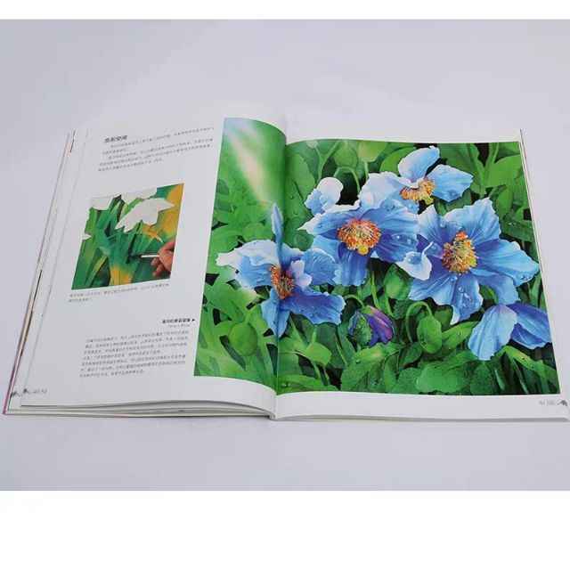 หนังสือสอนวาดภาพสีน้ำ-ภาพธรรมชาติ-ดอกไม้-ต้นไม้-หนังสือสอนวาดรูป-หนังสือสอนศิลปะ